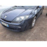 Panneau de porte arriere droit RENAULT LAGUNA 3 PHASE 1 BREAK d’occasion
