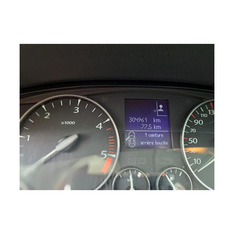 Panneau de porte arriere droit RENAULT LAGUNA 3 PHASE 1 BREAK d’occasion