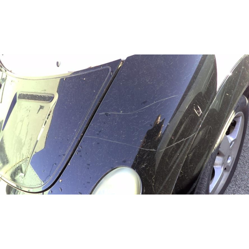 Panneau de porte avant gauche SMART FORFOUR 1 d’occasion