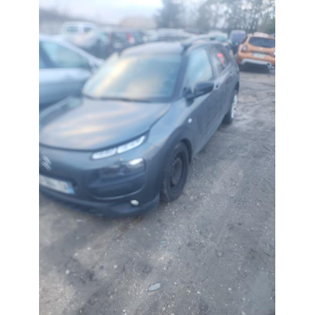 Panneau de porte avant droit CITROEN C4 CACTUS d’occasion