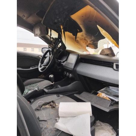 Porte avant gauche RENAULT CLIO 5 PHASE 1 d’occasion