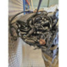 Moteur CITROEN C3 2 PHASE 1 d’occasion
