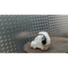 Vase de lave glace RENAULT KANGOO 2 PHASE 2 d’occasion