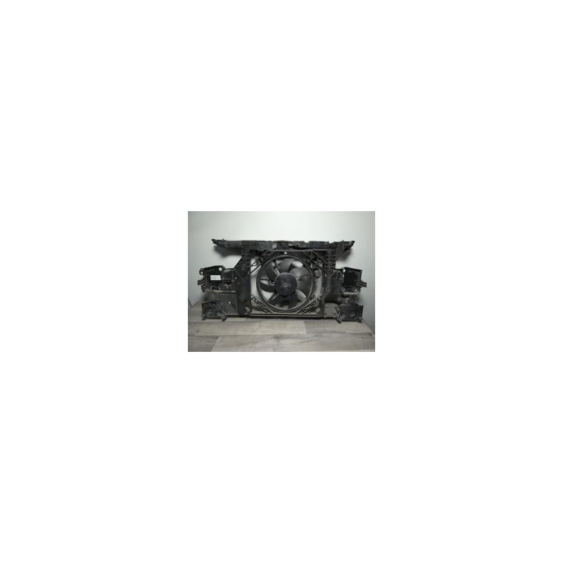 Armature avant, Masque avant RENAULT MEGANE 3 PHASE 1 d’occasion