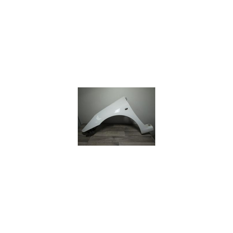 Aile avant gauche PEUGEOT 307 PHASE 2 d’occasion