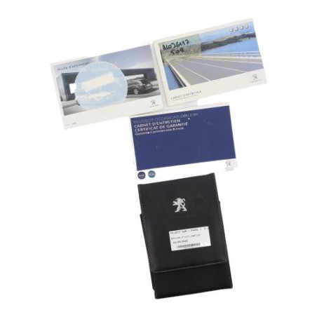 Notice d'utilisation PEUGEOT 508 1 PHASE 1 d’occasion