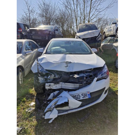 Panneau de porte avant gauche OPEL ASTRA J GTC d’occasion
