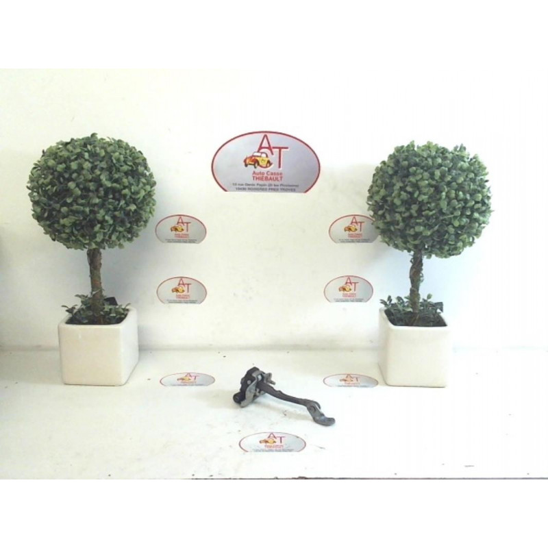 Tirant de porte avant gauche RENAULT CLIO II PHASE 2 d’occasion
