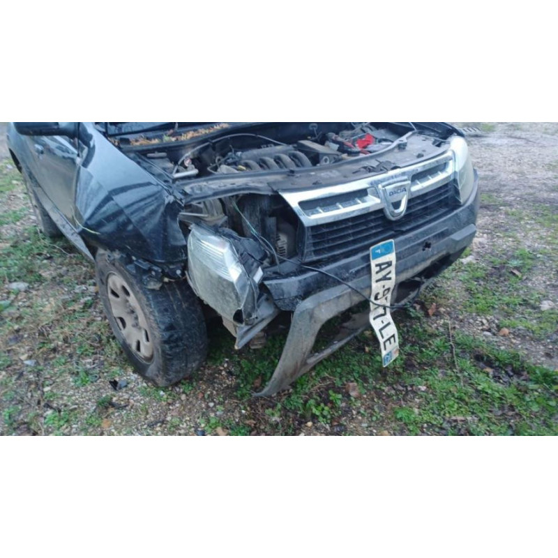 Panneau de porte avant gauche DACIA DUSTER 1 PHASE 1 d’occasion