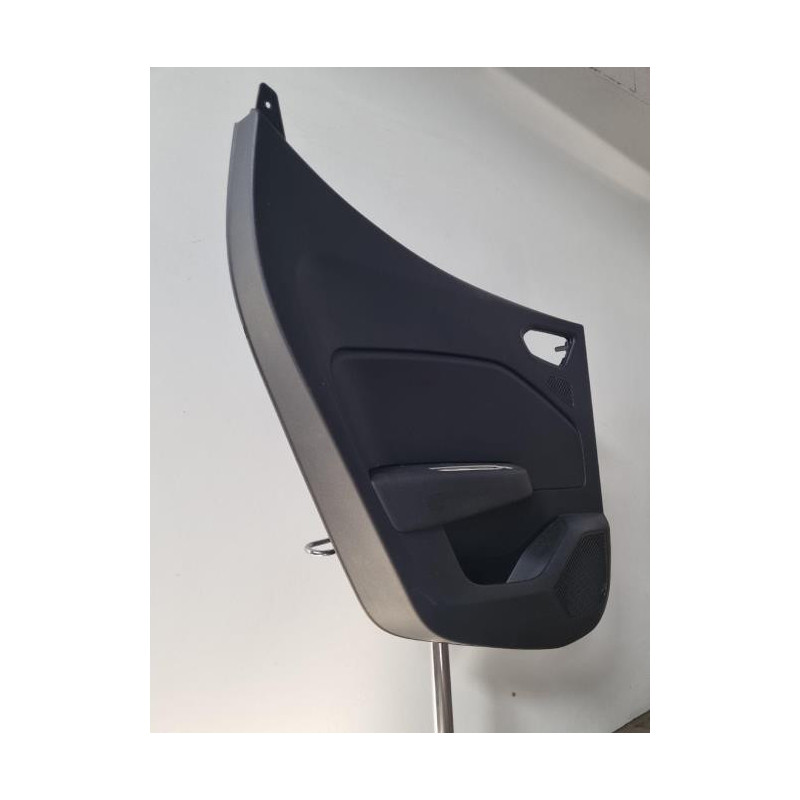 Panneau de porte arriere gauche RENAULT CLIO 5 PHASE 1 d’occasion