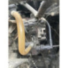 Moteur RENAULT ESPACE 4 PHASE 1 d’occasion
