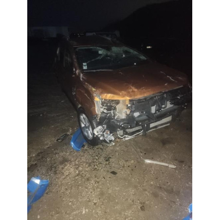 Malle/Hayon arriere DACIA DUSTER 2 PHASE 1 d’occasion