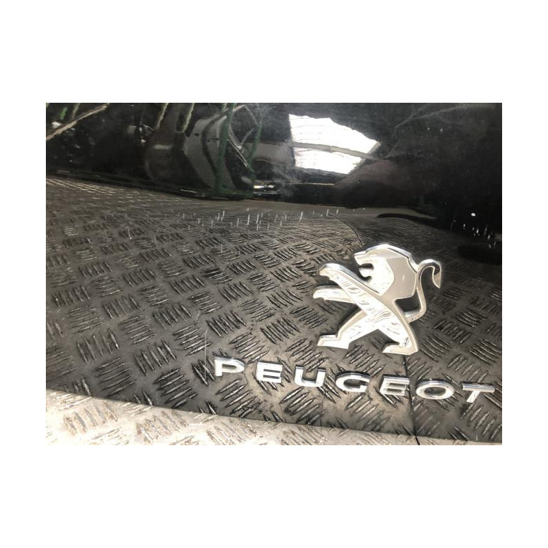 Malle/Hayon arriere PEUGEOT 3008 1 PHASE 2 d’occasion