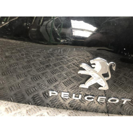 Malle/Hayon arriere PEUGEOT 3008 1 PHASE 2 d’occasion