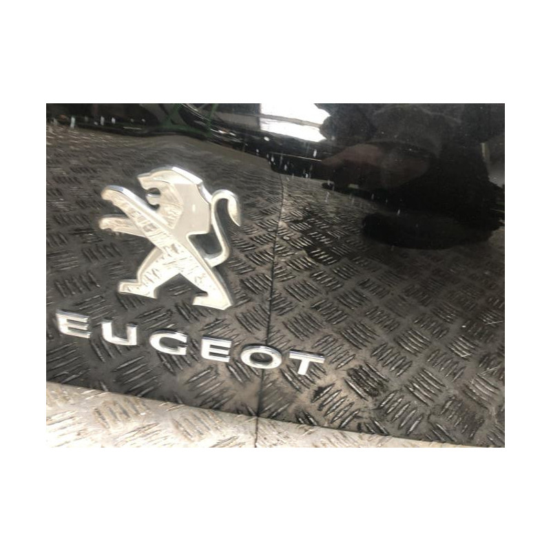 Malle/Hayon arriere PEUGEOT 3008 1 PHASE 2 d’occasion