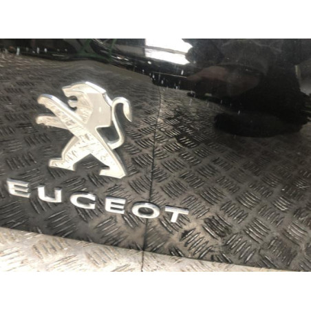 Malle/Hayon arriere PEUGEOT 3008 1 PHASE 2 d’occasion