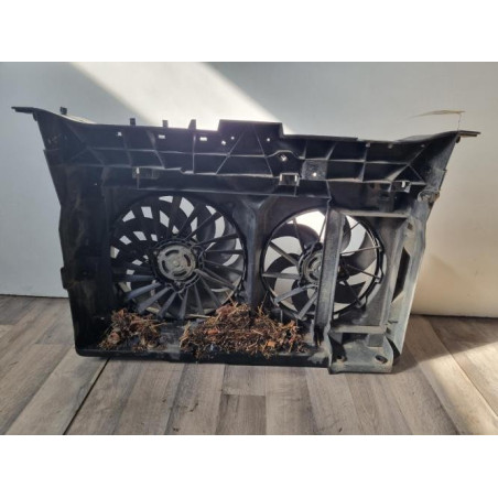 Moto ventilateur radiateur PEUGEOT EXPERT 2 d’occasion