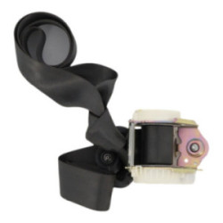 Ceinture arriere centrale RENAULT CLIO 3 PHASE 1 d’occasion
