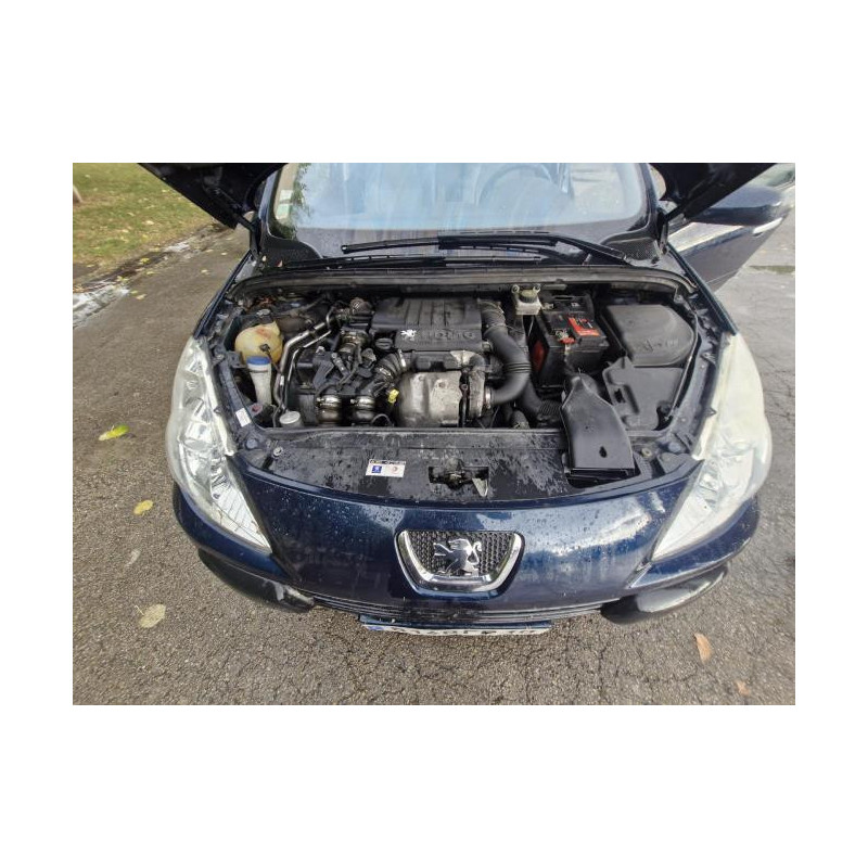 Jante PEUGEOT 307 PHASE 1 BREAK d’occasion