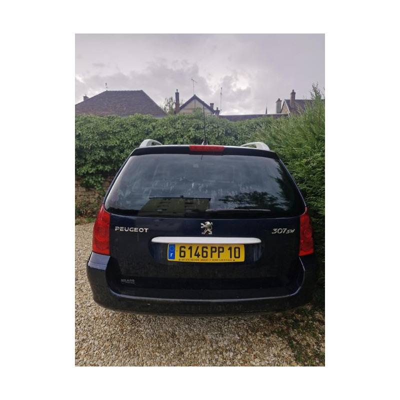 Jante PEUGEOT 307 PHASE 1 BREAK d’occasion