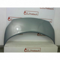 Capot RENAULT SCENIC II PHASE 1 d’occasion