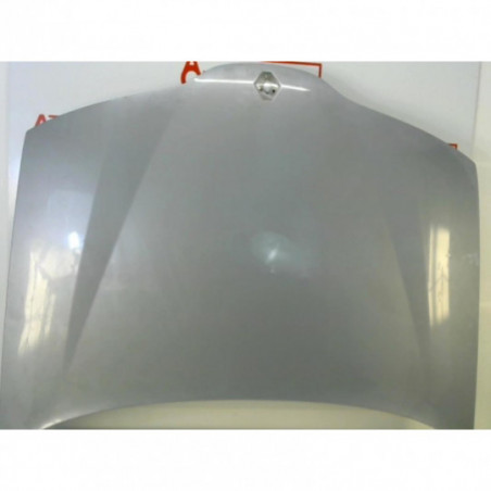 Capot RENAULT LAGUNA II PHASE 2 d’occasion