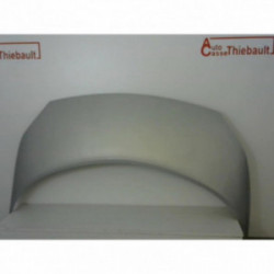 Capot RENAULT SCENIC II PHASE 1 d’occasion