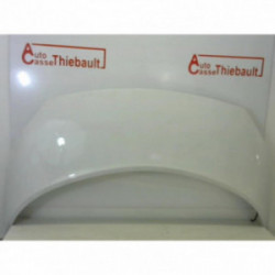 Capot RENAULT SCENIC II PHASE 1 d’occasion