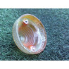Cabochon arriere CITROEN 2CV d’occasion