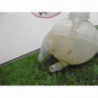 Vase d'expansion CITROEN C4 PICASSO PHASE 1 d’occasion