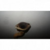 Silencieux intermediaire (echappement) CITROEN BERLINGO (M49/M59) PHASE 1 d’occasion
