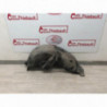 Pare boue arriere droit RENAULT CLIO III PHASE 1 d’occasion