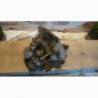 Boite de vitesses CITROEN C3 PHASE 2 d’occasion