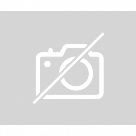 Amortisseur arriere droit VOLKSWAGEN GOLF IV d’occasion