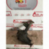 Pont (propulsion) FORD MAVERICK (TERRANO) PHASE 1 d’occasion