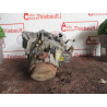 Boite de vitesses PEUGEOT 306 3 ET 5 PORTES d’occasion