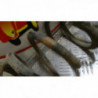 Ressort de suspension arriere gauche FORD MONDEO II d’occasion