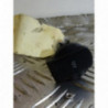 Prise 12V SEAT IBIZA IV SC d’occasion