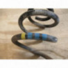 Ressort de suspension arriere droit AUDI A3 (8P) PHASE 2 d’occasion