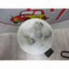 Pompe immergee KIA PICANTO I PHASE 1 d’occasion