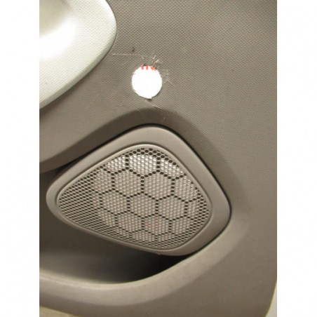 Panneau de porte arriere gauche RENAULT ZOE d’occasion