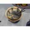 Pompe immergee VOLKSWAGEN TOURAN 1 PHASE 1 d’occasion