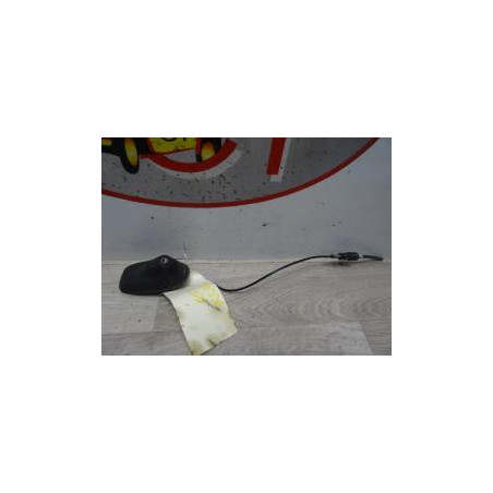 Antenne CITROEN C3 2 PHASE 1 d’occasion