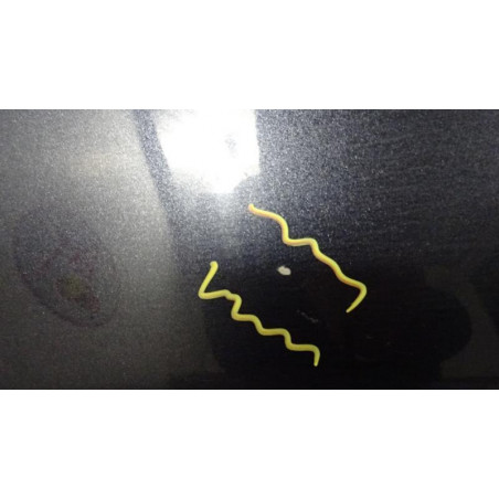 Porte avant gauche SUBARU IMPREZA 2 d’occasion