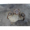 Pont (propulsion) SUZUKI GRAND VITARA 2 PHASE 1 d’occasion