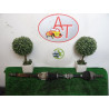 Cardan droit (transmission) NISSAN MICRA III d’occasion