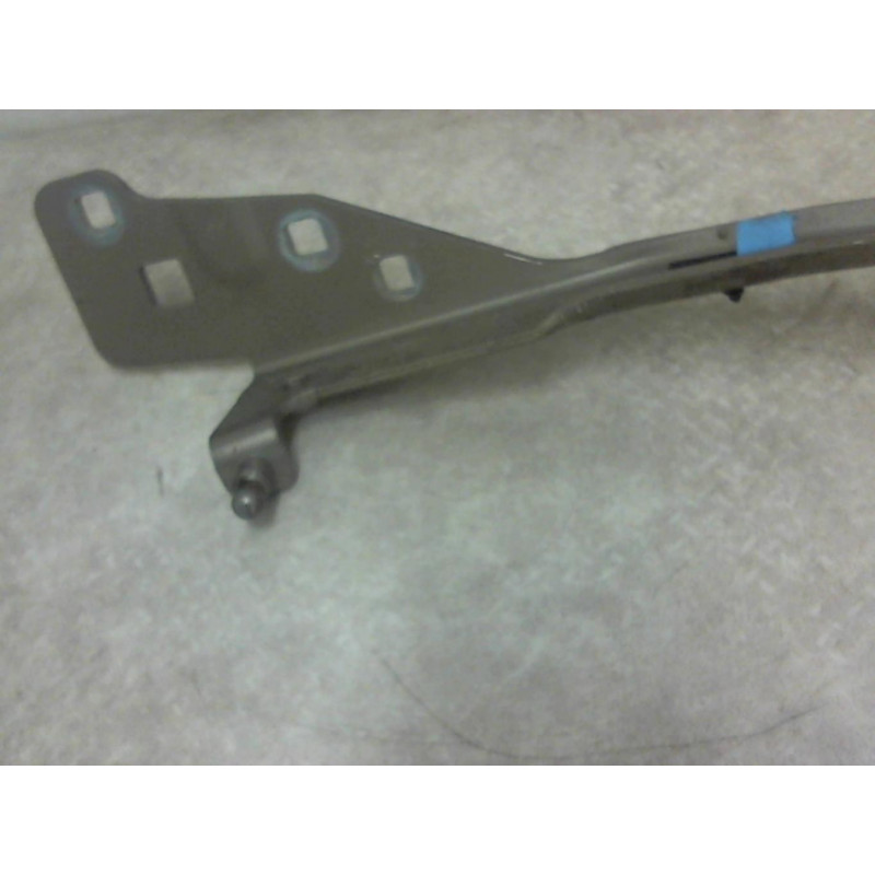 Charniere de capot RENAULT SCENIC 3 PHASE 3 d’occasion