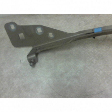 Charniere de capot RENAULT SCENIC 3 PHASE 3 d’occasion