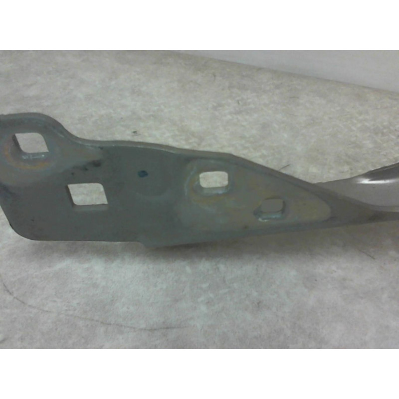 Charniere de capot RENAULT SCENIC 3 PHASE 3 d’occasion