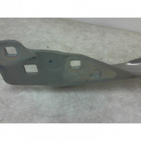 Charniere de capot RENAULT SCENIC 3 PHASE 3 d’occasion